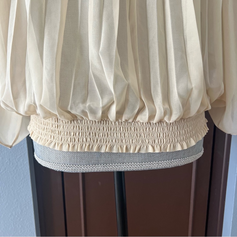 Meadow Rue Pleated Sheer Flyaway Blouse - Picture 10 of 12
